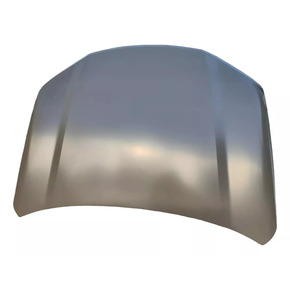 Nunc congue dui nec...