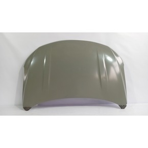 Nunc congue dui nec...