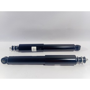 Nunc congue dui nec...