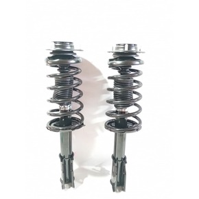 Nunc congue dui nec...