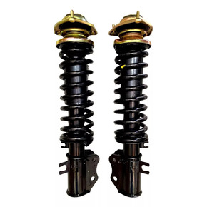 Nunc congue dui nec...