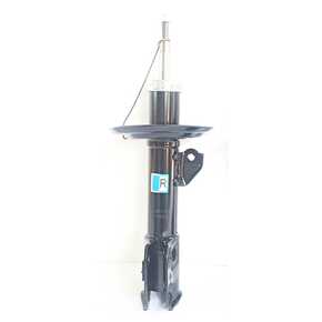 Nunc congue dui nec...