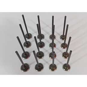 Nunc congue dui nec...