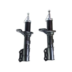 Nunc congue dui nec...