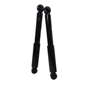 Nunc congue dui nec...