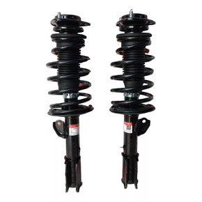 Nunc congue dui nec...