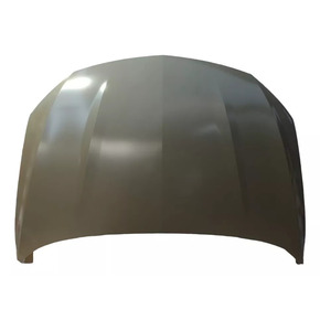 Nunc congue dui nec...