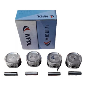 Nunc congue dui nec...