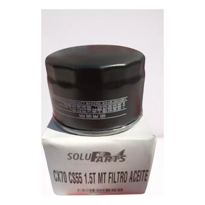 Nunc congue dui nec...