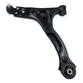 Nunc congue dui nec...