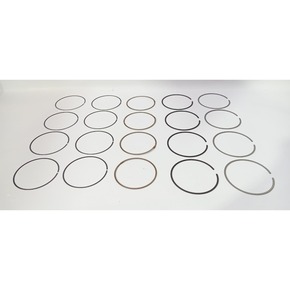 Nunc congue dui nec...