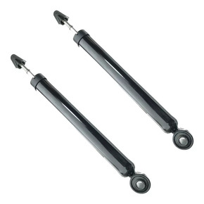 Nunc congue dui nec...