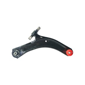 Nunc congue dui nec...