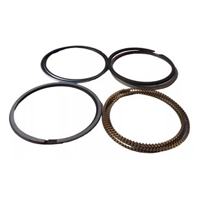 Nunc congue dui nec...