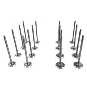 Nunc congue dui nec...