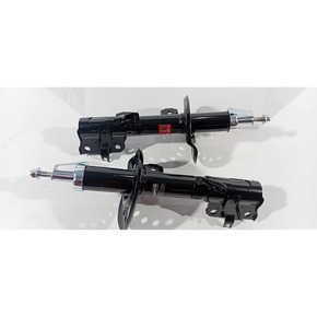 Nunc congue dui nec...