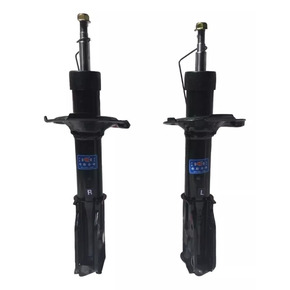 Nunc congue dui nec...