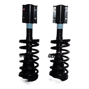 Nunc congue dui nec...