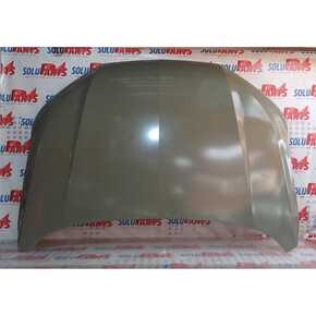 Nunc congue dui nec...