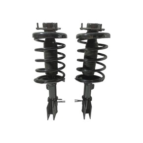 Nunc congue dui nec...