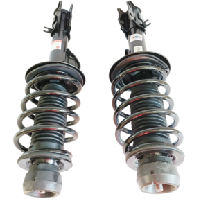 Nunc congue dui nec...