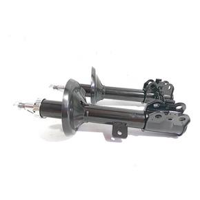 Nunc congue dui nec...