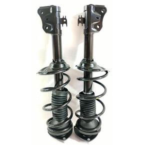 Nunc congue dui nec...