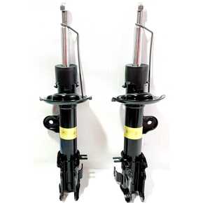 Nunc congue dui nec...