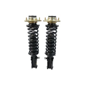 Nunc congue dui nec...