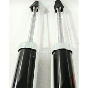 Nunc congue dui nec...