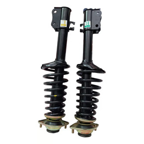 Nunc congue dui nec...