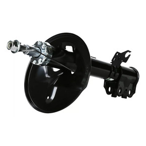 Nunc congue dui nec...