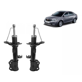 Nunc congue dui nec...