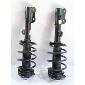 Nunc congue dui nec...