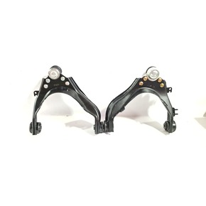 Nunc congue dui nec...