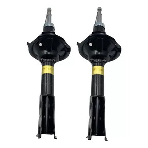 Nunc congue dui nec...