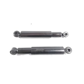 Nunc congue dui nec...