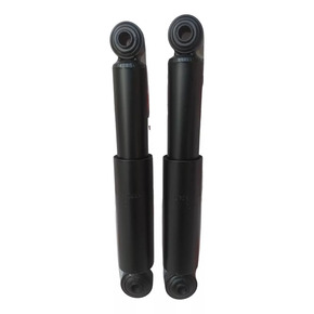 Nunc congue dui nec...