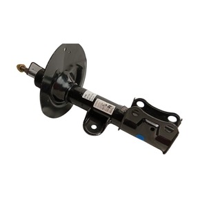 Nunc congue dui nec...