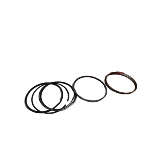 Nunc congue dui nec...