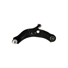 Nunc congue dui nec...