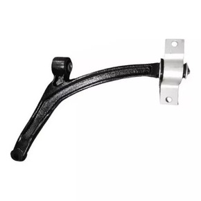 Nunc congue dui nec...