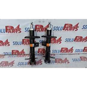 Nunc congue dui nec...