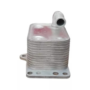 Nunc congue dui nec...