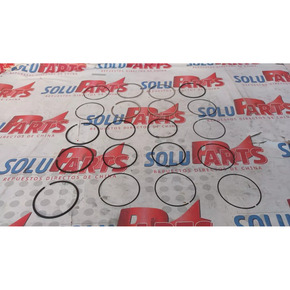 Nunc congue dui nec...