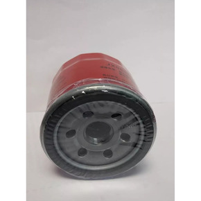 Nunc congue dui nec...