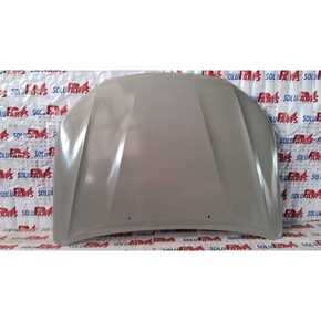 Nunc congue dui nec...