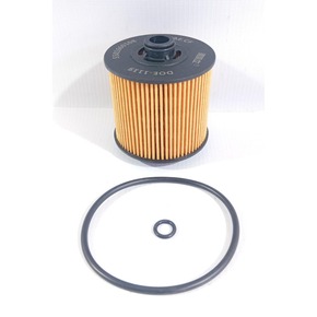 Nunc congue dui nec...