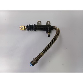 Nunc congue dui nec...