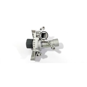 Nunc congue dui nec...